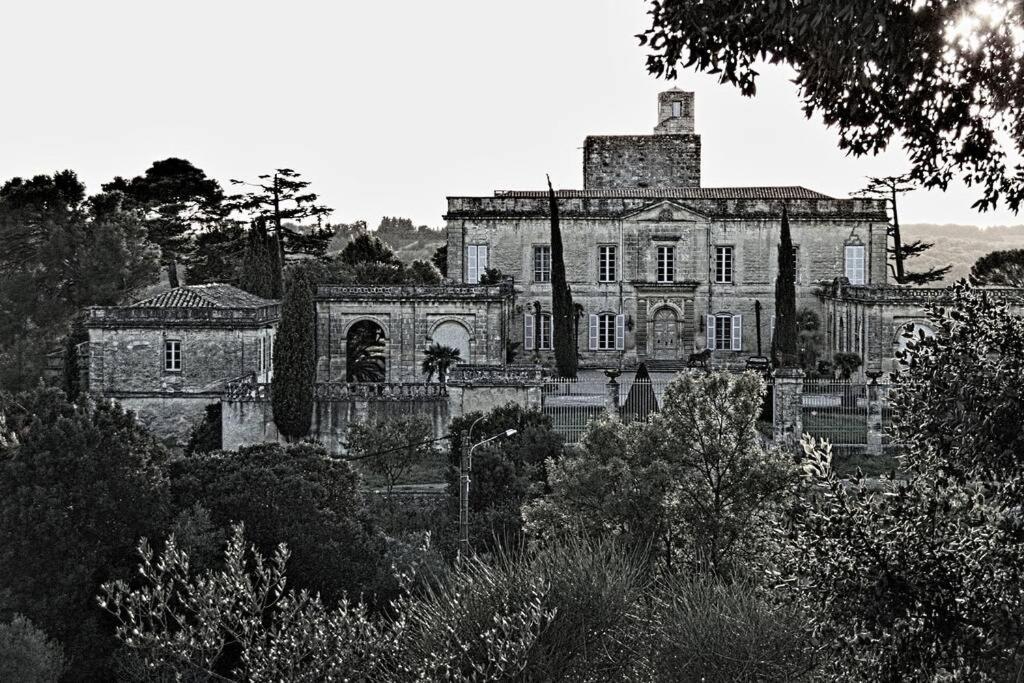 Studio Entre Cevennes Et Camargue Montfrin Bagian luar foto
